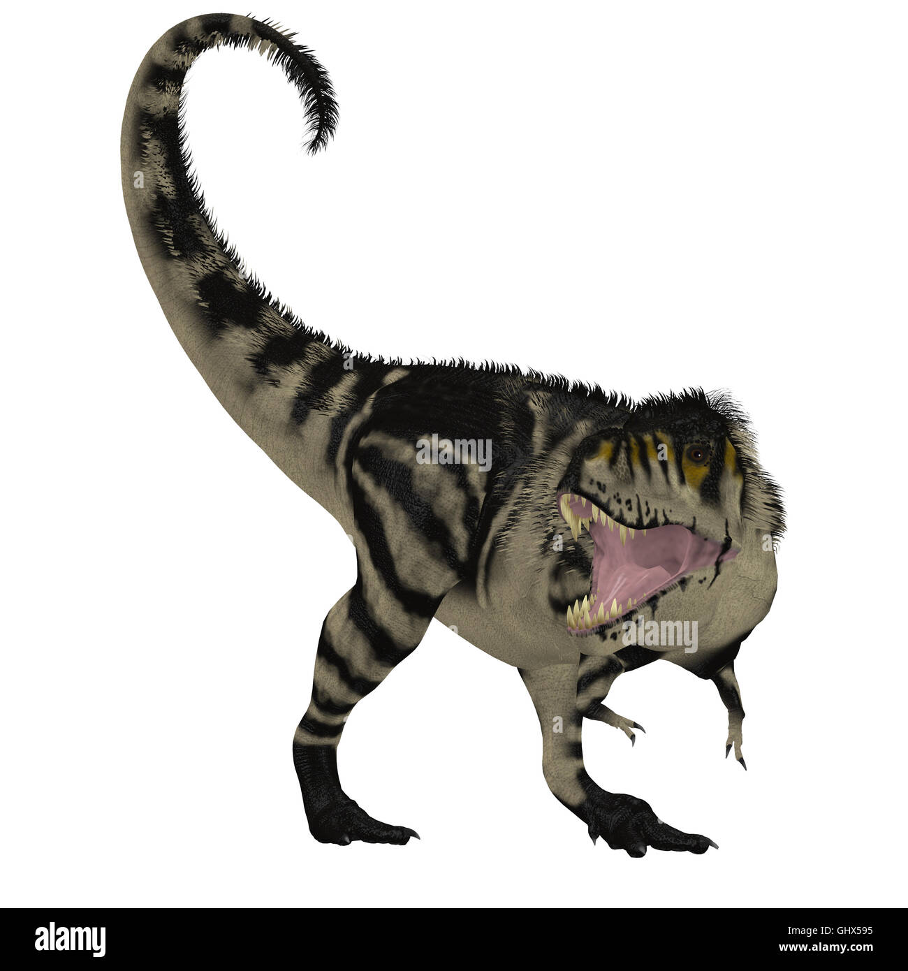 Fleischfressender tyrannosaurus rex dinosaurier Fotos und Bildmaterial in hoher Auflösung Alamy Fleischfressender tyrannosaurus rex dinosaurier Fotos und Bildmaterial in hoher Auflösung Alamy