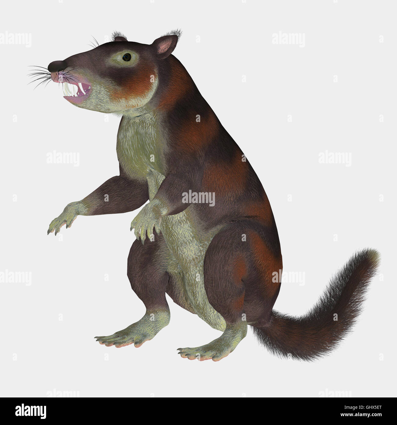Cronopio war ein Eichhörnchen-Größe Säugetier, das mit den Dinosauriern in der Kreidezeit Periode von Argentinien, Südamerika lebte. Stockfoto