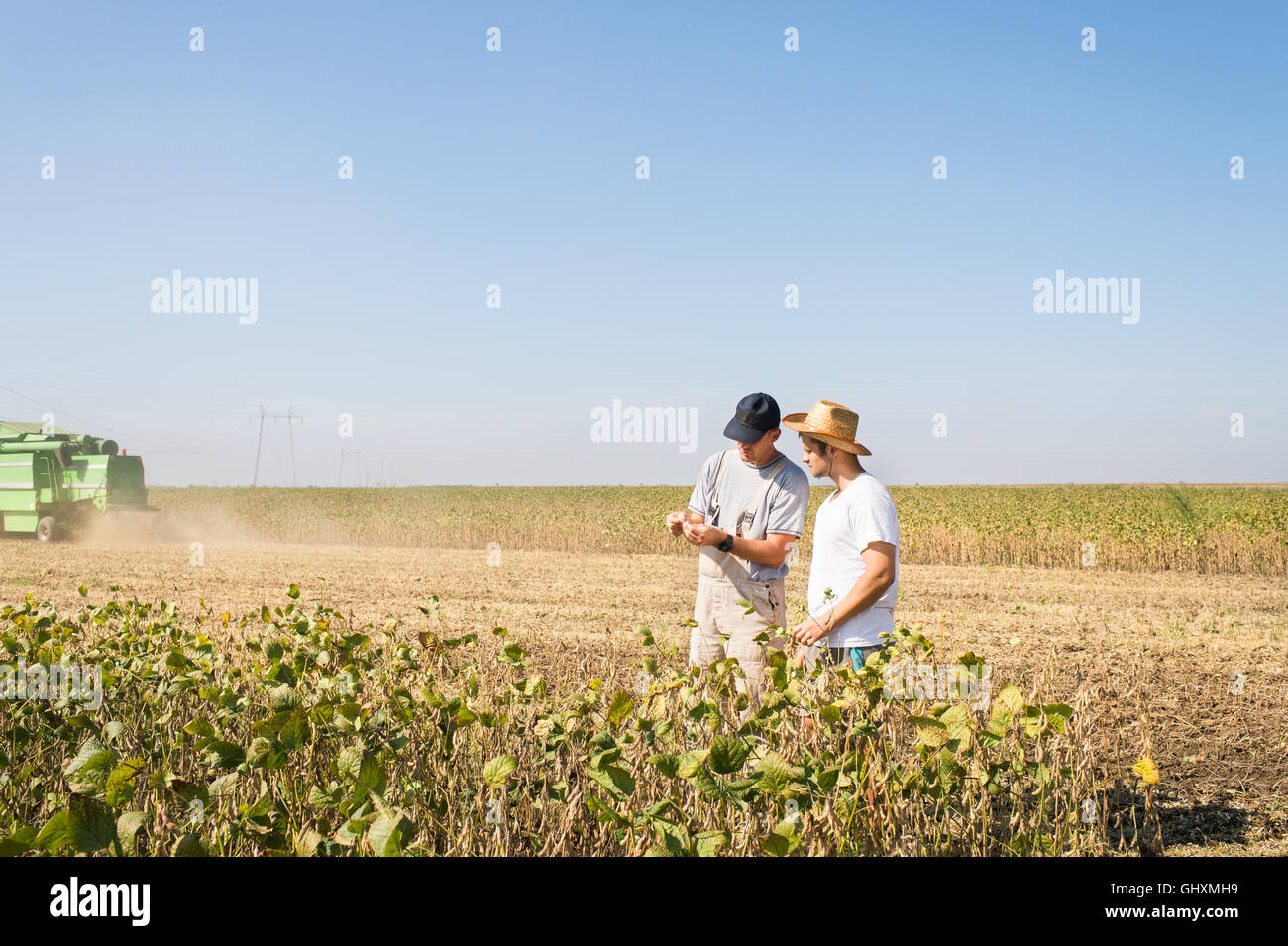 Junglandwirte in Soja-Felder Stockfoto