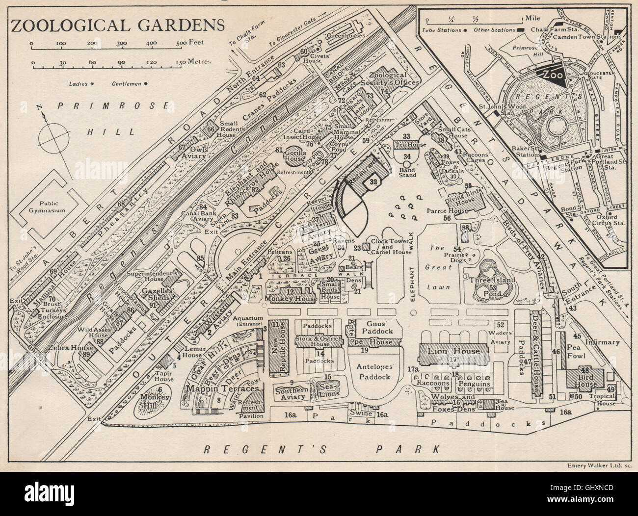 LONDONER ZOOLOGISCHEN GÄRTEN. Vintage Karte Plan. Regents Park, 1935 Stockfoto