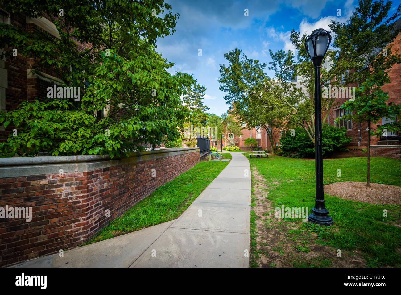 Gehweg und Gebäude an der Yale University in New Haven, Connecticut. Stockfoto