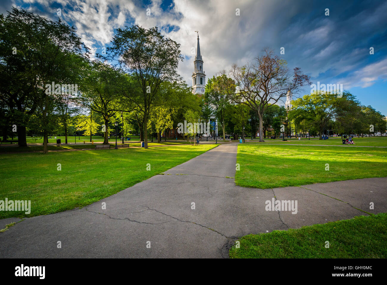 Gehwege in New Haven Green in der Innenstadt von New Haven, Connecticut. Stockfoto