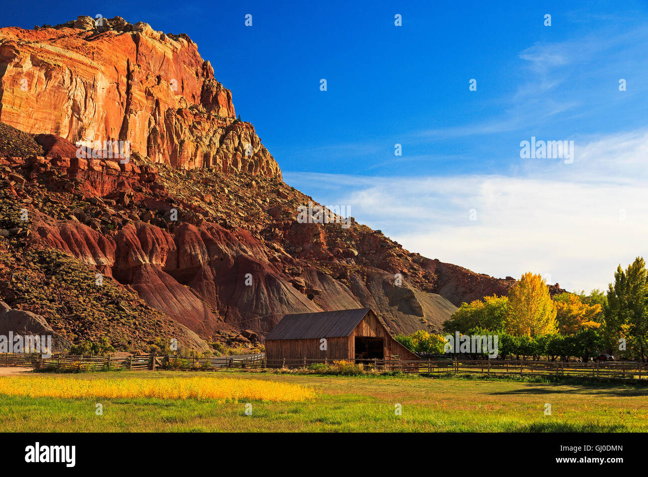 In diesem Bild sehen wir die Scheune auf dem Bauernhof Gifford im Bereich Fruita des Capitol Reef National Park, Utah. Stockfoto