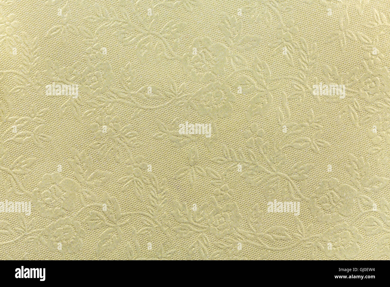 Hoher Auflösung strukturiertem Papier mit floralem Muster Stockfoto