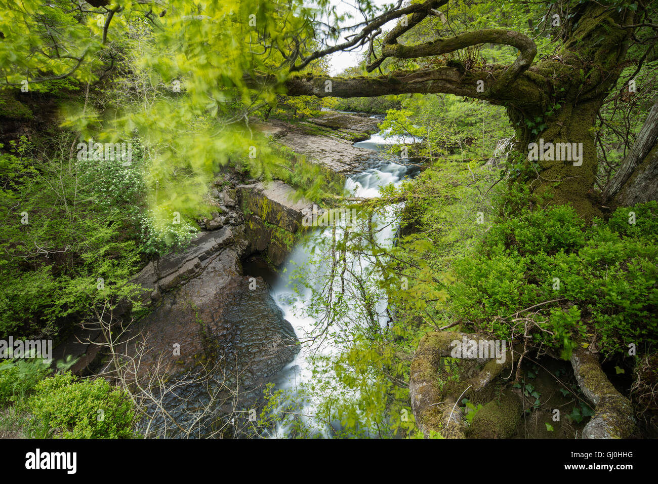 Sgwd Clun-Gywn Wasserfall, Brecon-Beacons-Nationalpark, Wales, UK Stockfoto