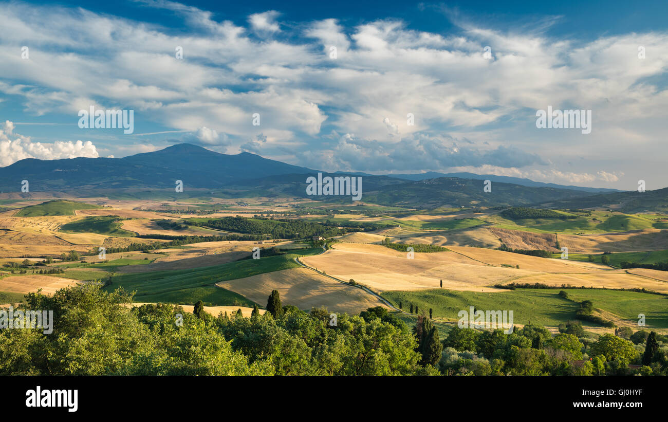 das Val d ' Orcia in der Nähe von Pienza mit Monte Amiata darüber hinaus, Toskana, Italien Stockfoto