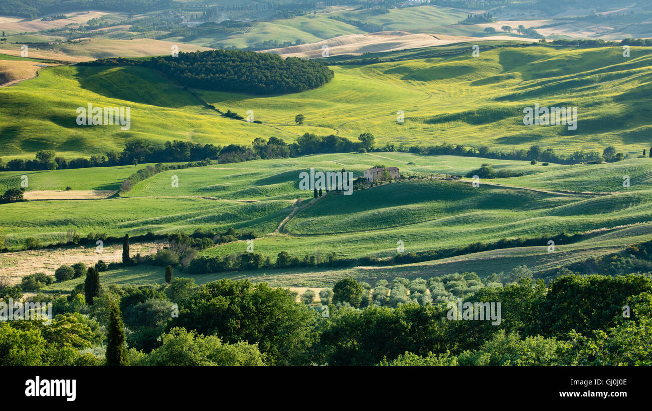 das Val d ' Orcia in der Nähe von Pienza, Toskana, Italien Stockfoto