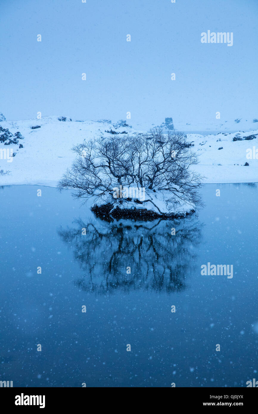 Schnee fällt am Mývatn, winter in Nord-Ost-Island Stockfoto