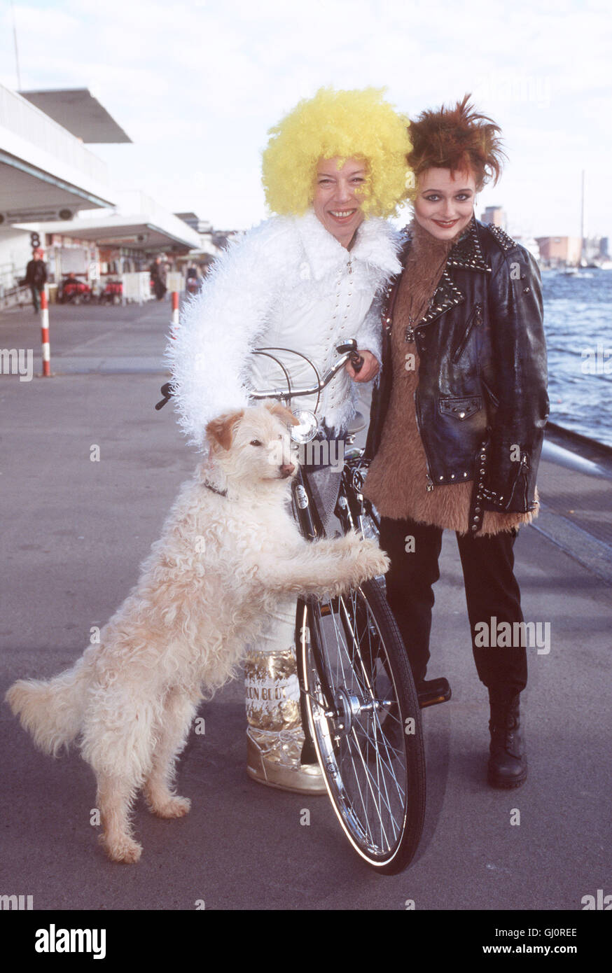 EVELYN HAMANN GESCHICHTEN AUS DEM LEBEN - Mischlingshund Leo ist Hannelore Kroll, Einer Tierpflegerin Im Städtischen Tierheim, Ans Herz Gewachsen. Eines Tages Prosakunstwerk sterben Junge Punkerin Indi Auf Und Verschwindet Mit Leo eine der Leine. Hannelore Begibt Sich Auf Suche Nach Leo, äh sterben ihn-aus Den Fängen der Schrillen Dirtylolita Zu Befreien. Doch Auch Indi ist Bereit äh Höhle Hund Zu Kämpfen. Szene: EVELYN HAMANN als Hannelore, LAURA SCHUHRK als Indi Und LEO Regie: Stephan Meyer aka. Auf Den Hund gekommen Stockfoto