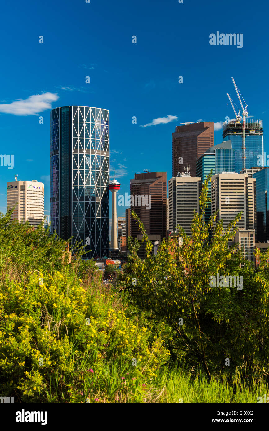 Die Skyline der Innenstadt, Calgary, Alberta, Kanada Stockfoto