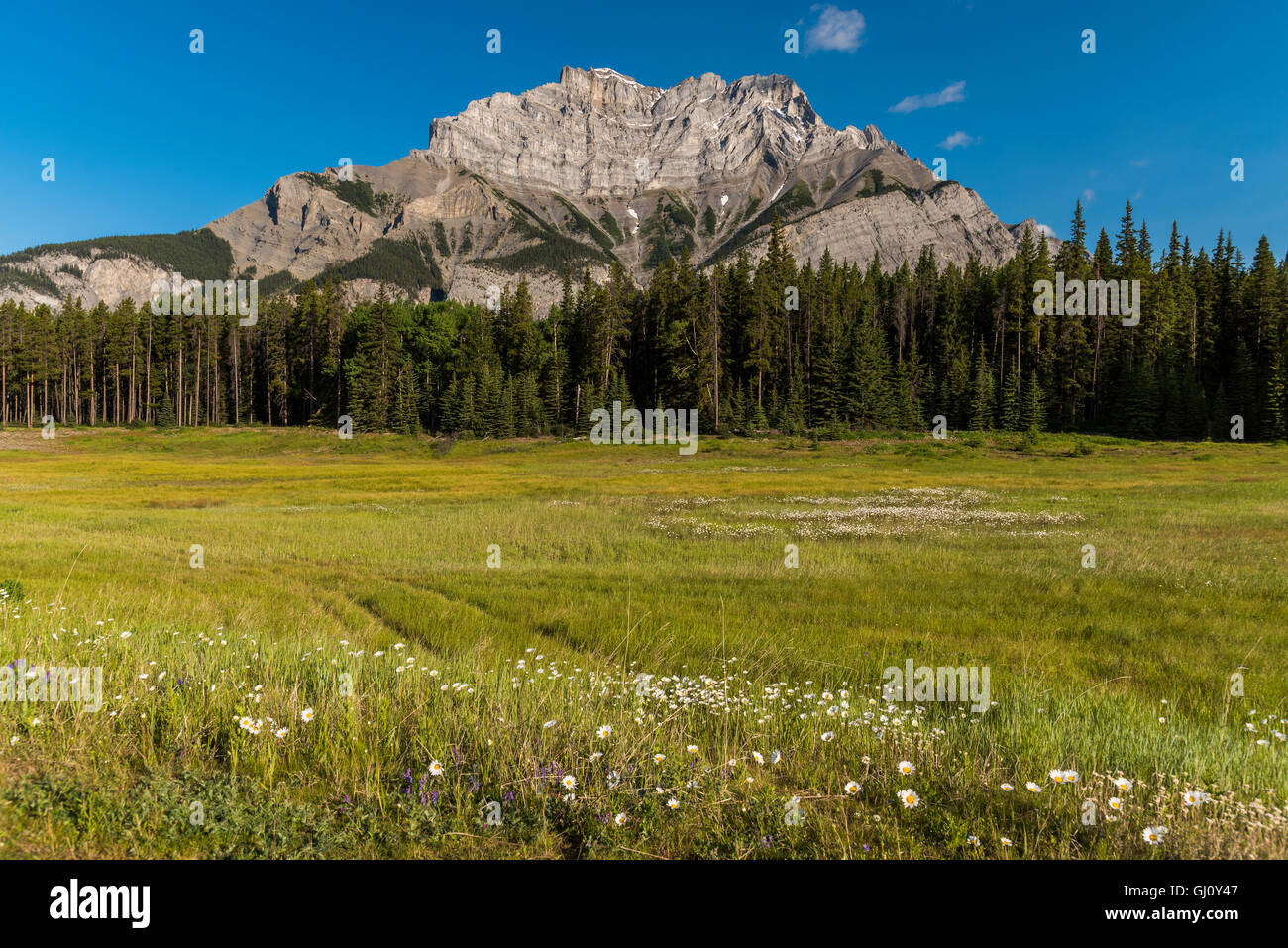 Malerische Berglandschaft, Banff Nationalpark, Alberta, Kanada Stockfoto