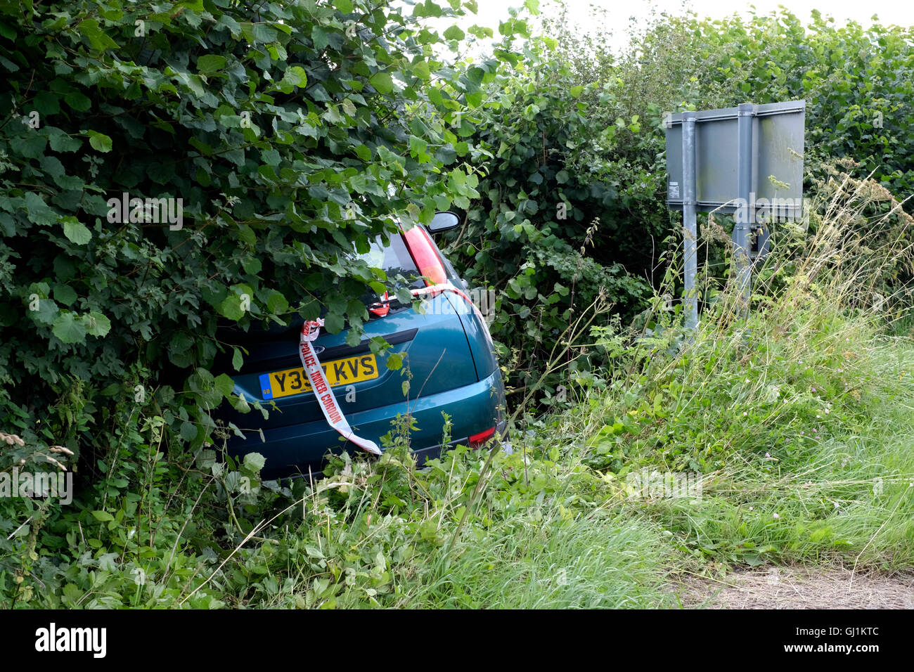 ein Auto bleibt begraben in eine Hecke nach dem gescheiterten Versuch der scharfen Kurve auf einem Land Straße England Großbritannien zu verhandeln Stockfoto