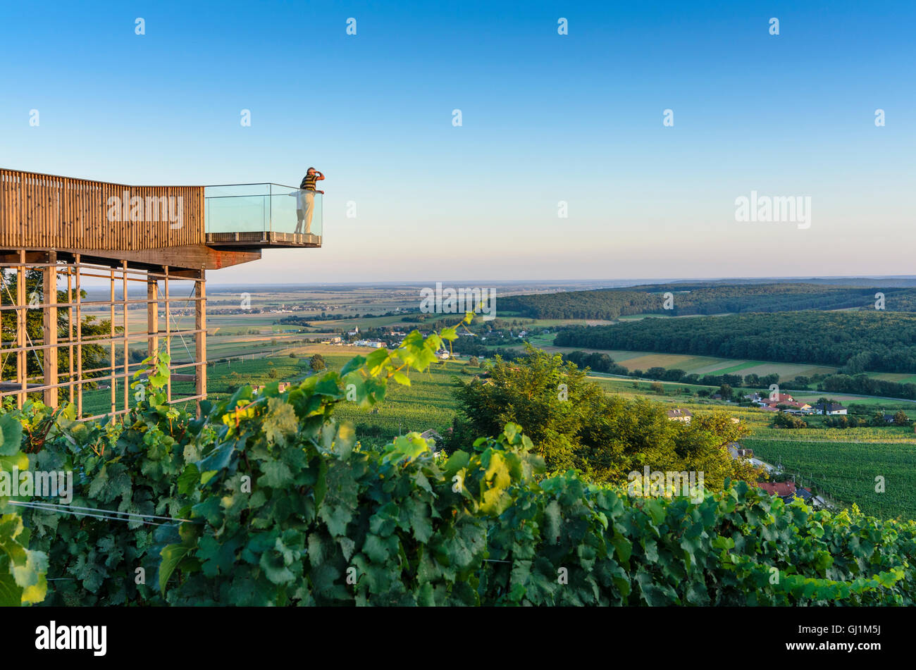 Deutsch Schützen-Eisenberg: ÖkoEnergieland Wein sehen Sie mit Blick auf  Weinberge und Dorf Eisenberg, Weinberg, Österreich, Burgenland  Stockfotografie - Alamy