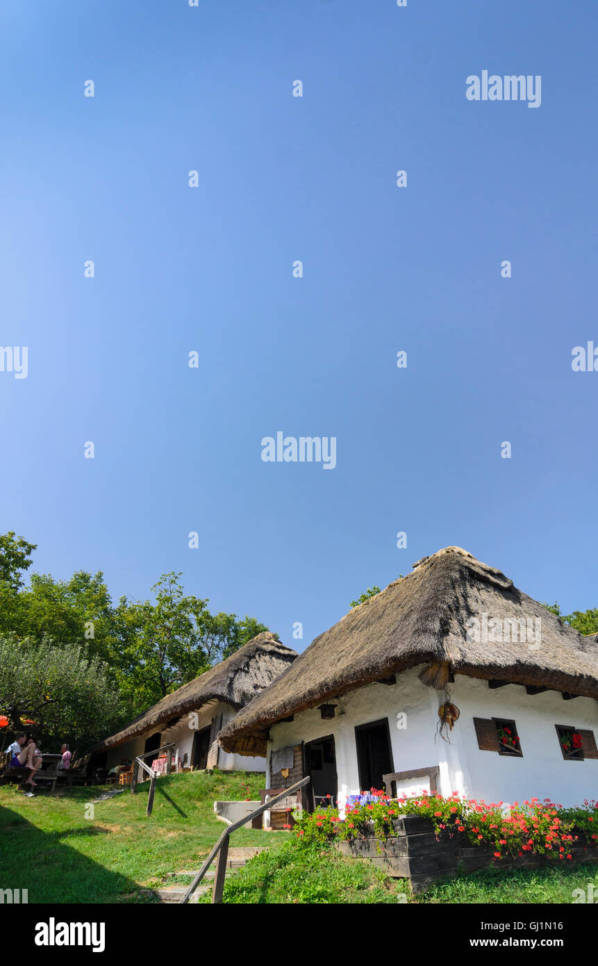 Austria burgenland wine cellar wine Fotos und Bildmaterial in hoher