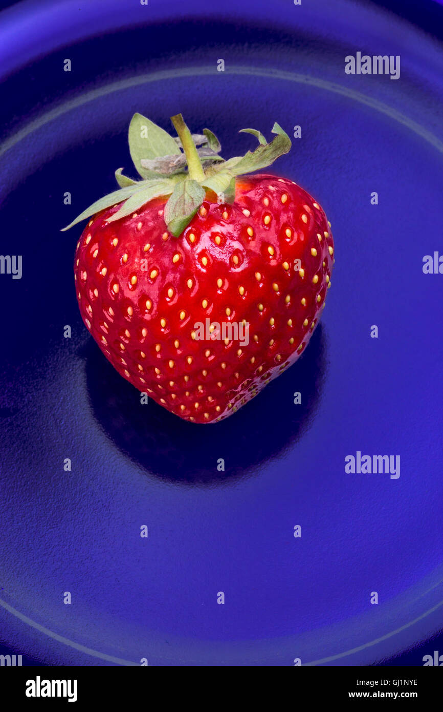 Rote Erdbeere auf blauem Glas Hintergrund. Stockfoto