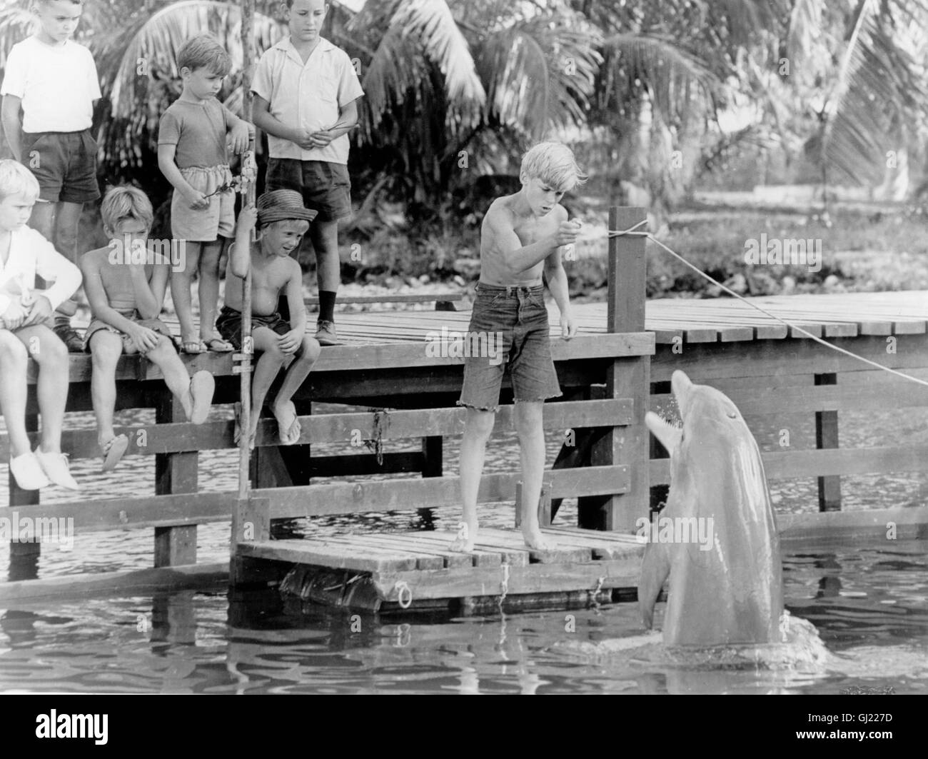 Flipper movie Fotos und Bildmaterial in hoher Auflösung Alamy