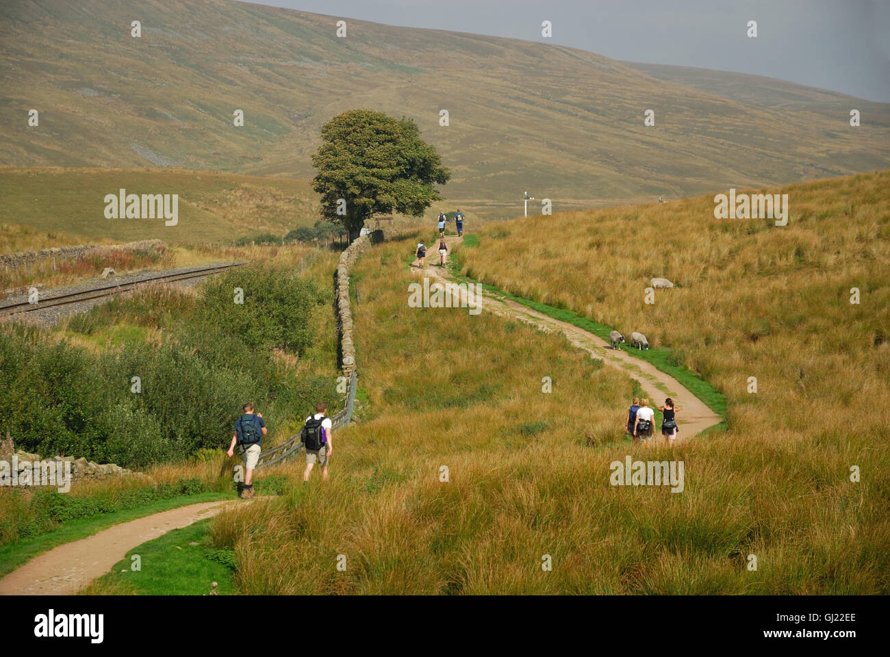 Wanderer neben der Bahnstrecke Settle & Carlisle, Blea Moor in Richtung. Stockfoto