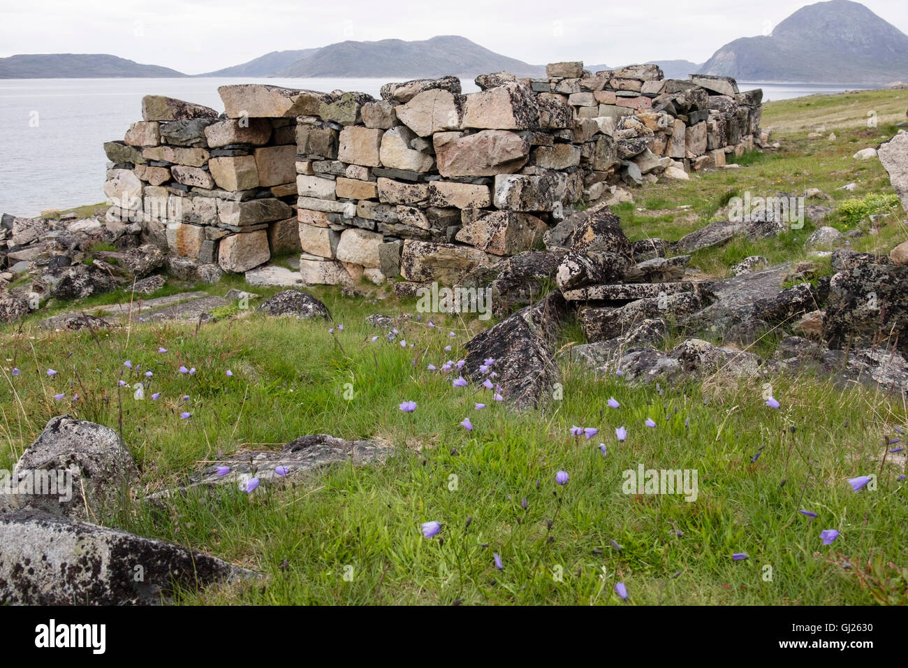 Reste des 14thc Hvalsey Gehöft Bankettsaal, erhalten eine der besten Wikingerruinen des Landes. Hvalsey, Qaqortoq, Kujalleq, Südgrönland Stockfoto