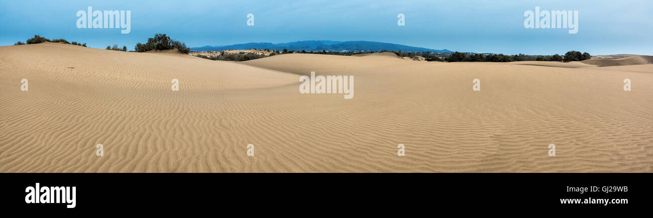Panorama der Sandwüste Stockfoto