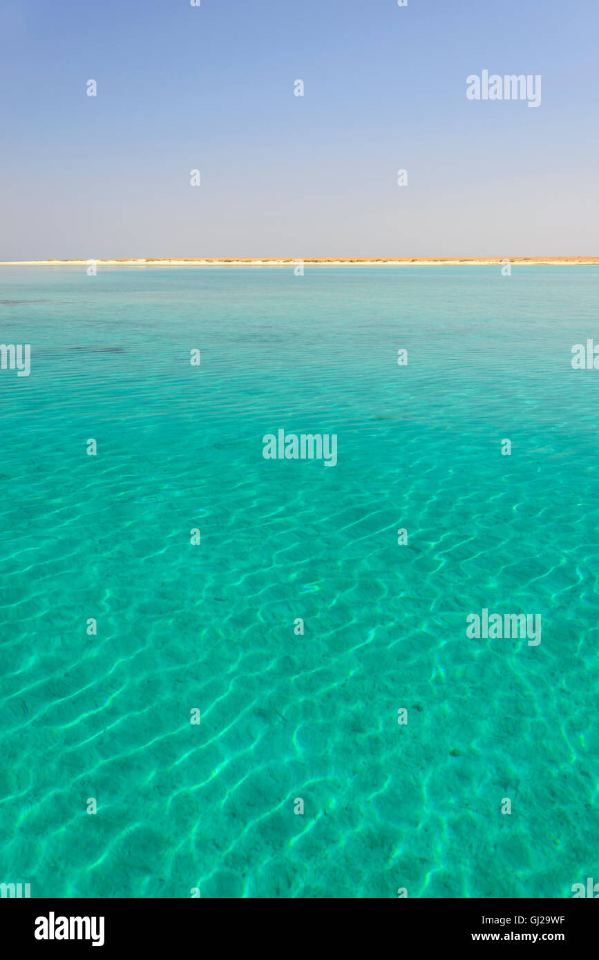 Korallenriff-block in türkisblaue Lagune in Wadi Gimal Nationalparks, Wadi Gimal, Marsa Alam, Marsa Alam, Rotes Meer, Ägypten Stockfoto