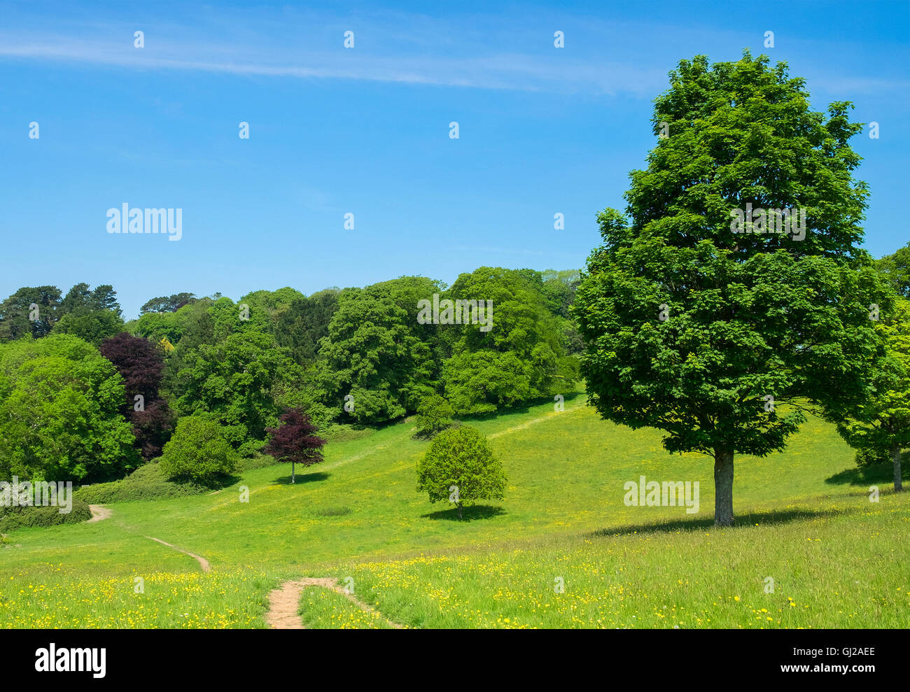 Sommerlandschaft in der Nähe von Frodsham in England, UK Stockfoto