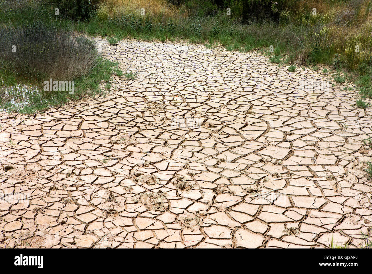 Ausgetrocknete Bachbett in einem ariden Gebiet von spärlichen Niederschläge und Trockenheit Weibsbilder Erde aufgrund des Klimawandels. Stockfoto