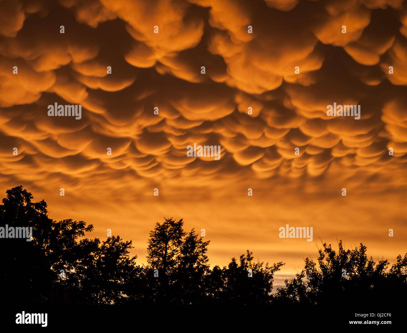 Mammatus Wolken, Mammatocumulus, Mamma cloud Stockfoto