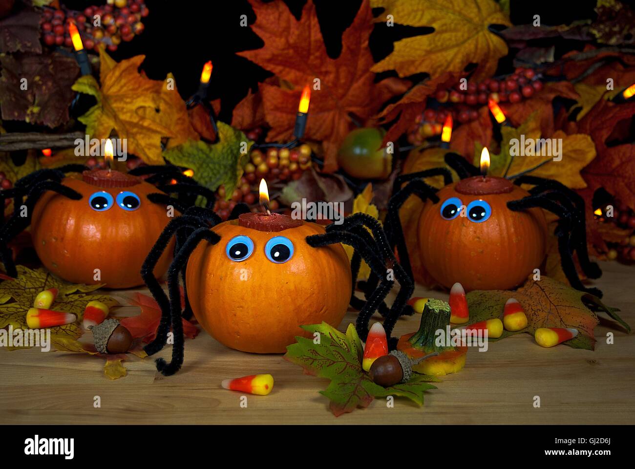 Halloween Kürbis Spinne Kerze im Herbst Blätter mit Süßigkeiten. Stockfoto