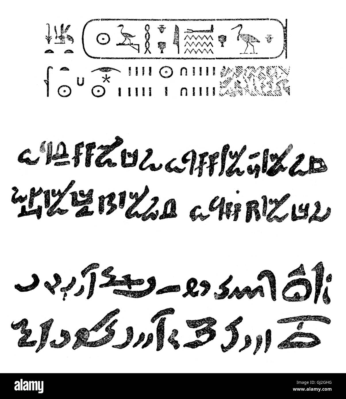 Hieroglyphen, hieratisch und demotisch, Antike ägyptische Skripte Stockfoto