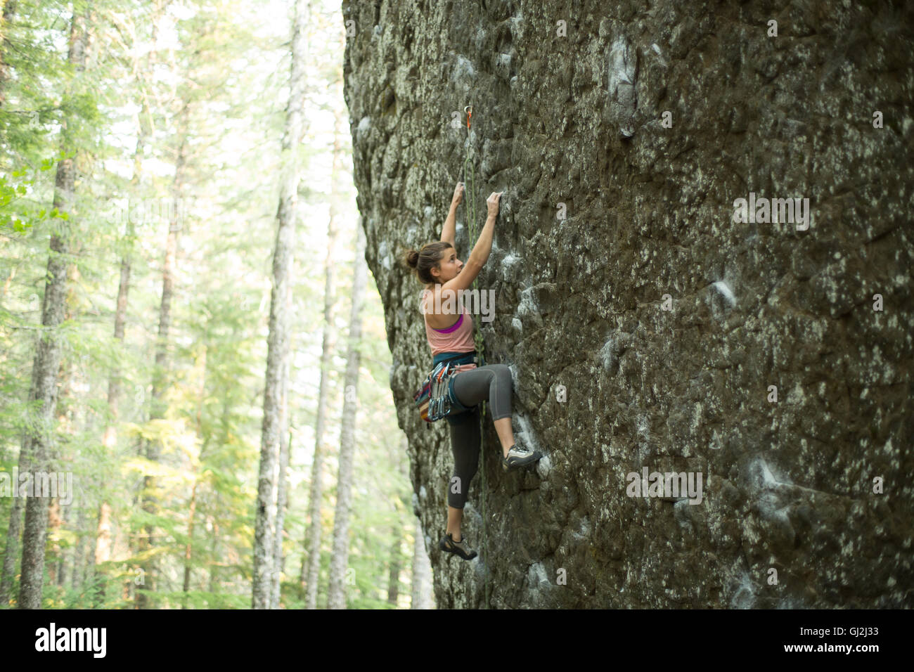 Junge weibliche Kletterer erklimmen Felswand im Wald, Mount Hood National Forest, Oregon, USA Stockfoto