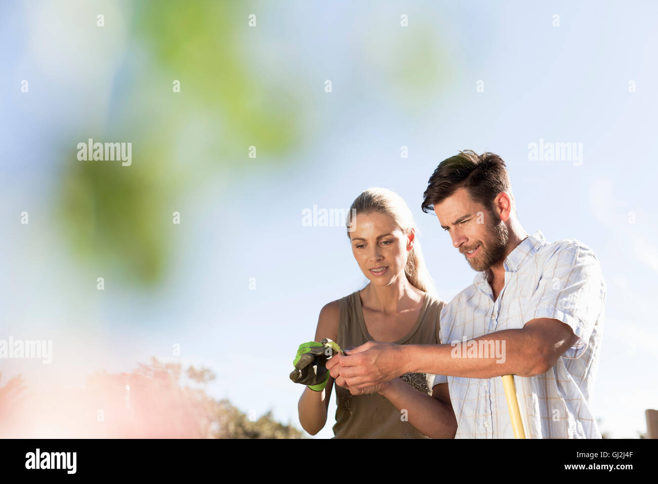 Älteres paar Inspektion Pflanzenblattes im Garten Stockfoto