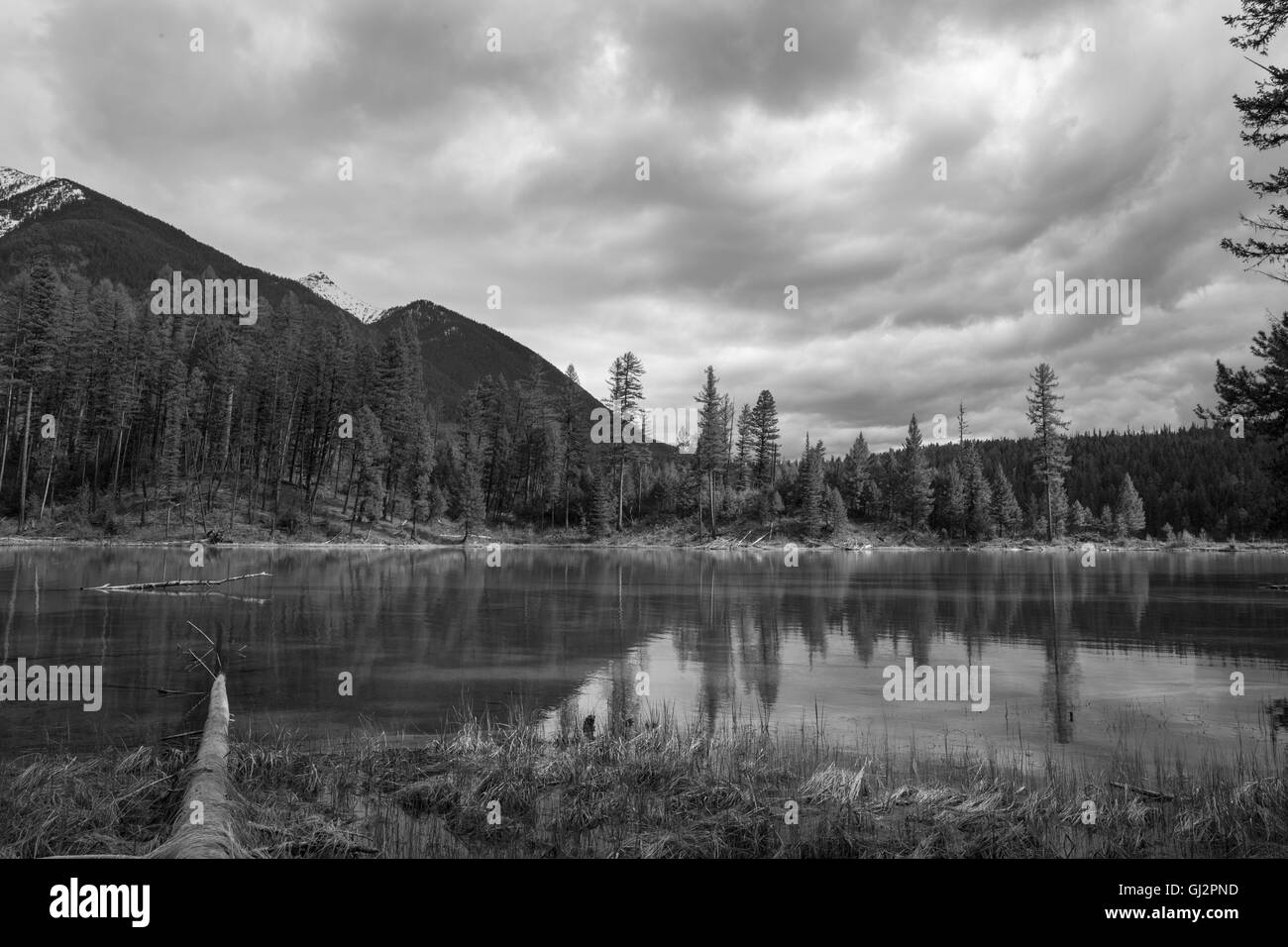 Spiegelungen im See an einem bewölkten Tag Stockfoto