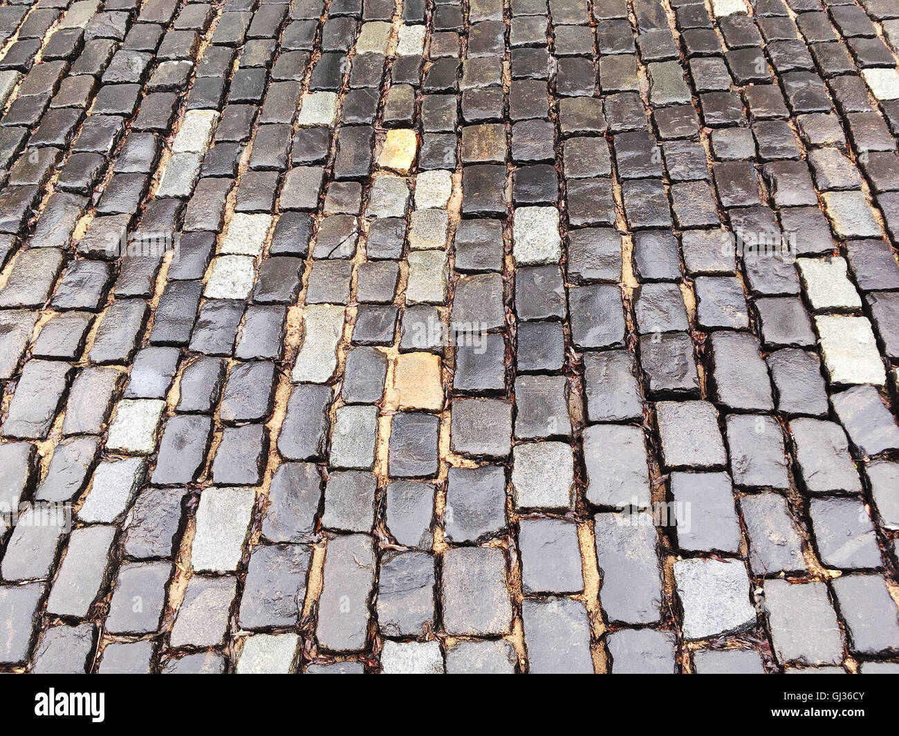 alten grobem Granit gepflasterten Straße nach Regen nass Stockfoto