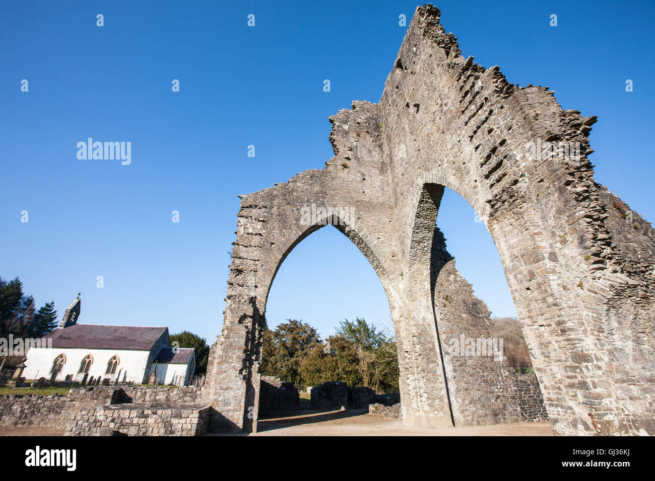 Wald und Bank und Überreste von Talley Abbey, östlich von Llandeilo,Carmarthenshire,Wales,U.K., Stockfoto