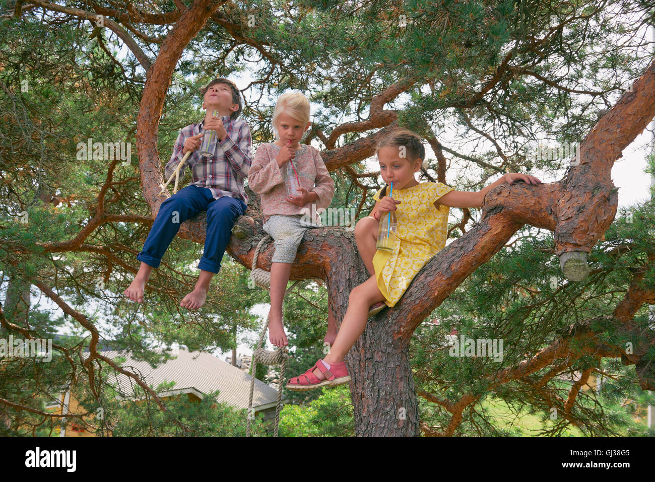 Gruppe junger Freunde sitzt im Baum, Getränke in Flaschen trinken Stockfoto