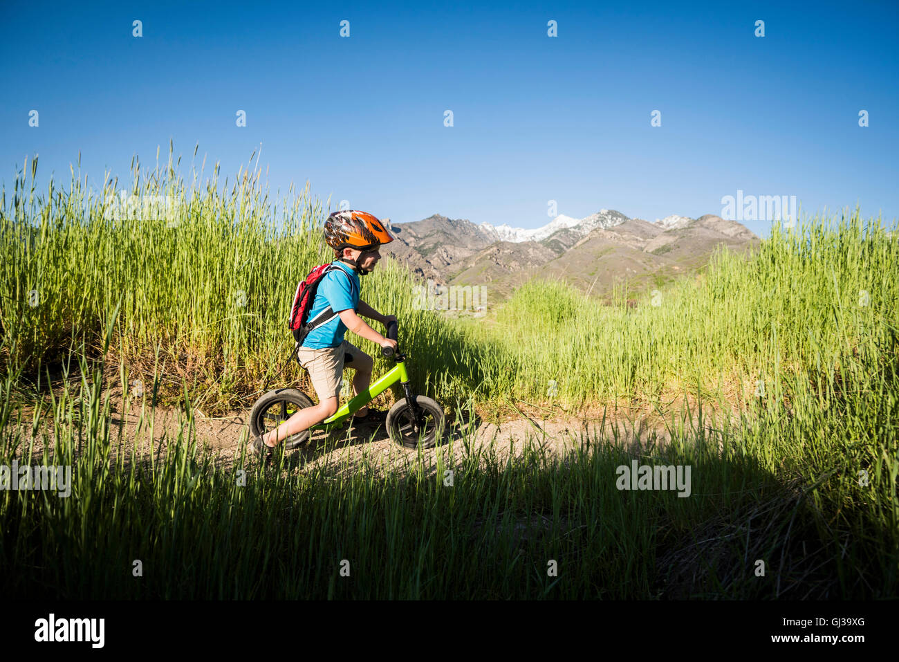 Junge, Radfahren im Park, Sandy, Utah, USA Stockfoto