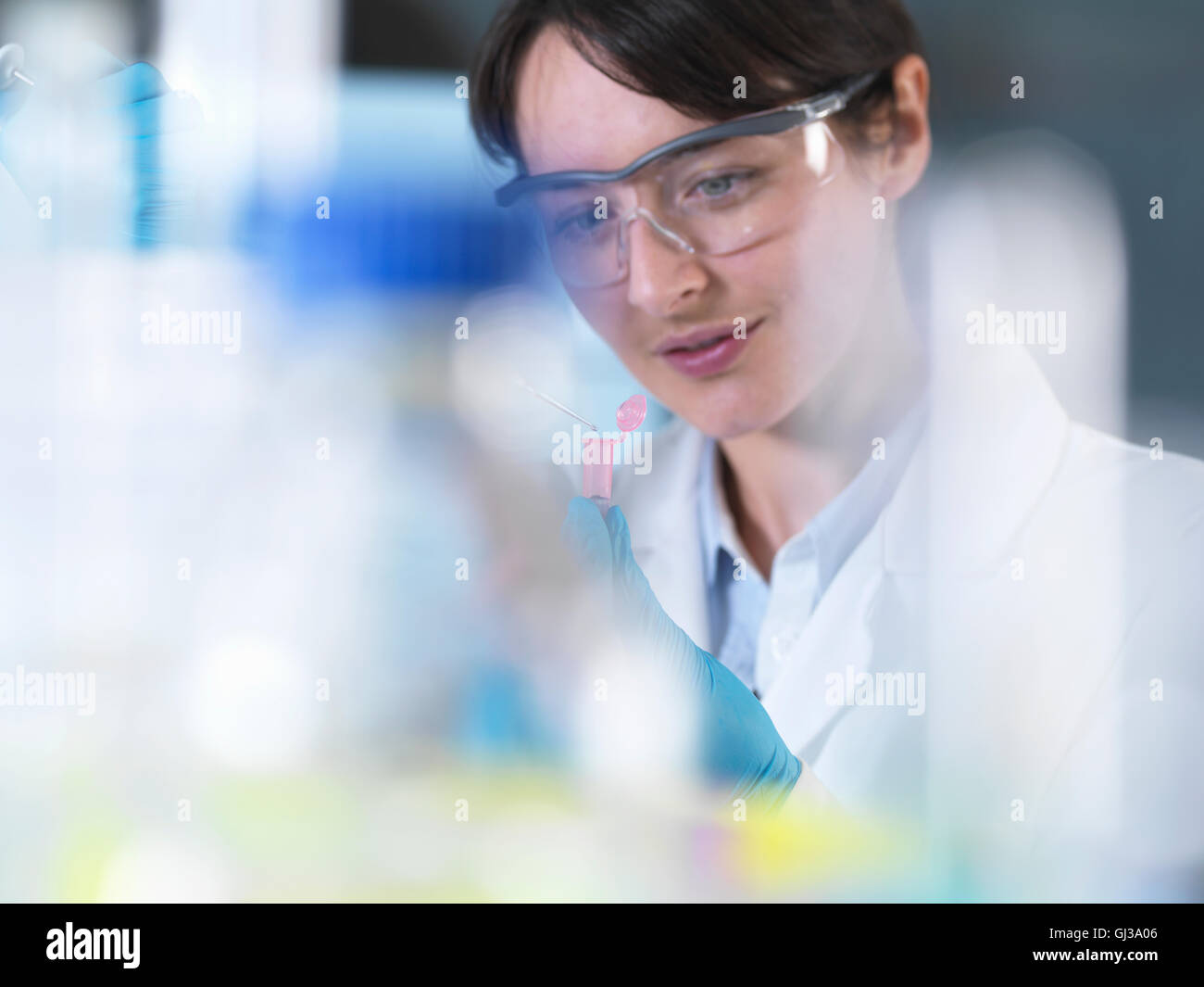 Forscher Pipettieren DNA-Probe in Eppendorf Fläschchen im Labor Stockfoto