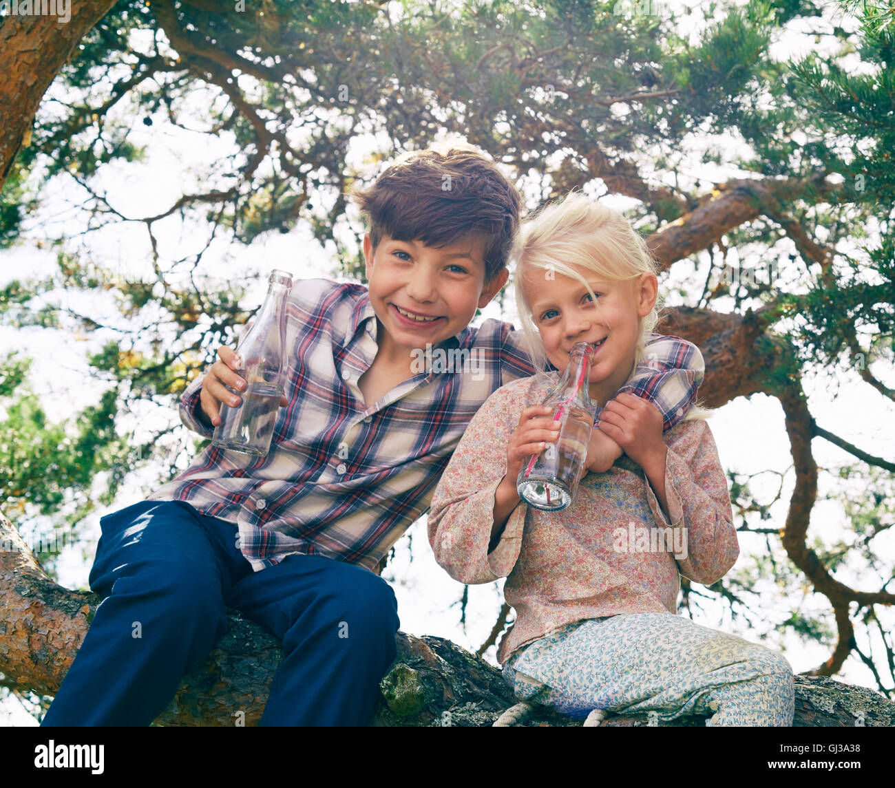Zwei junge Freunde sitzt im Baum, Getränke, trinken, lachen Stockfoto