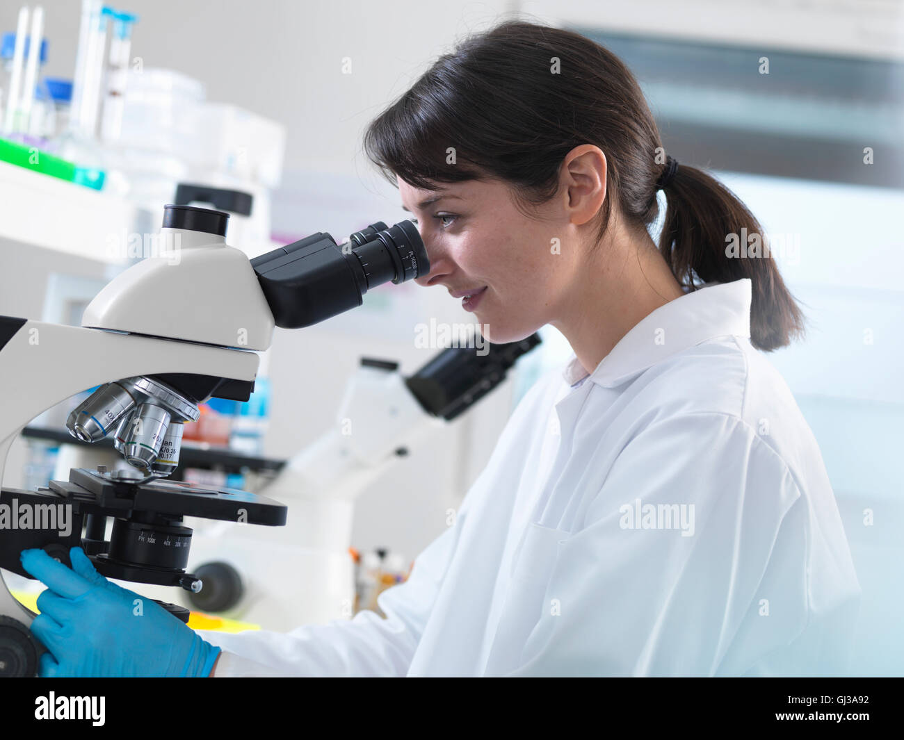 Wissenschaftler betrachten menschliche Gewebeprobe auf Mikroskop im Labor Stockfoto