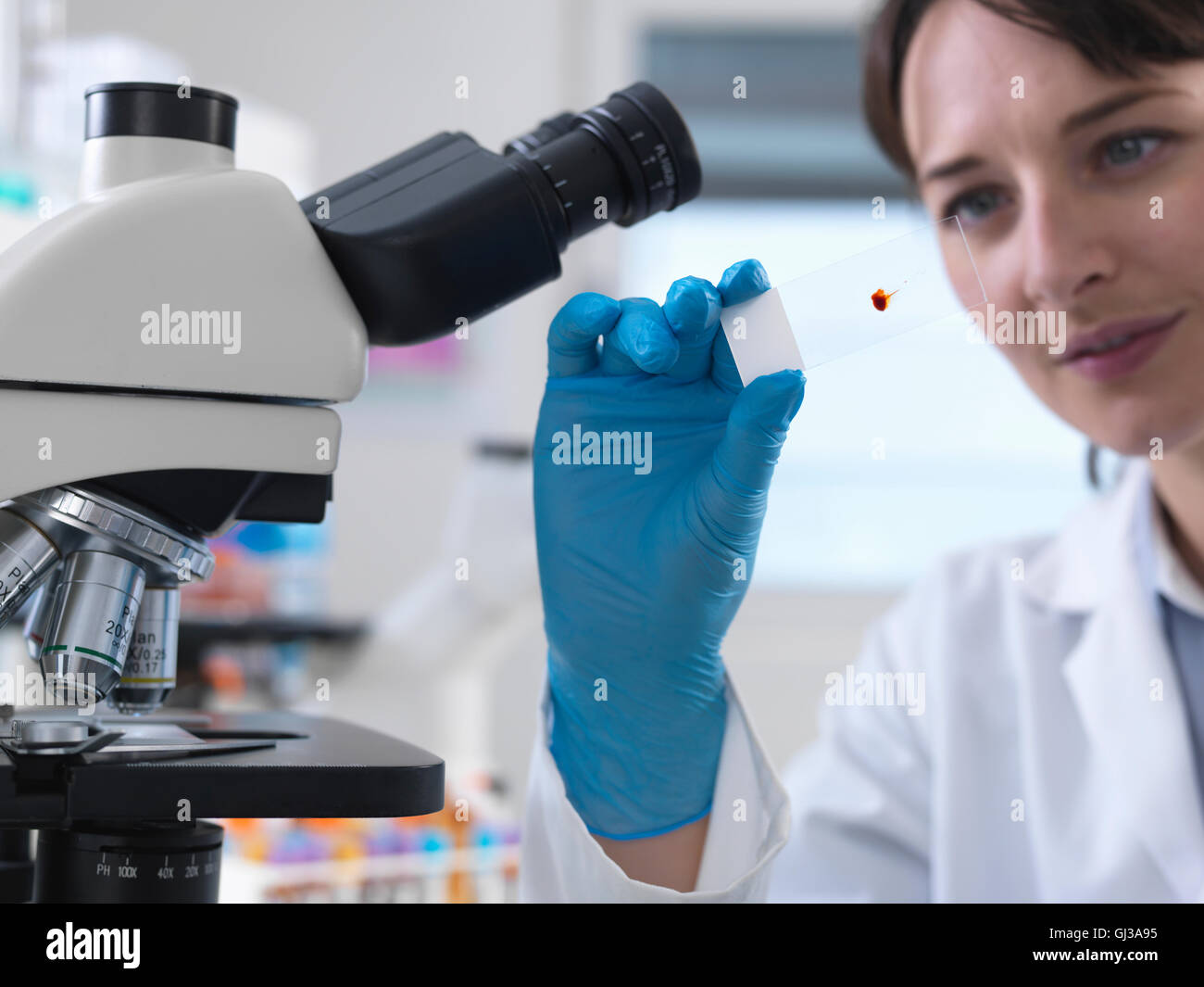 Wissenschaftler betrachten menschliche Blutprobe auf Glasobjektträger im Labor Stockfoto