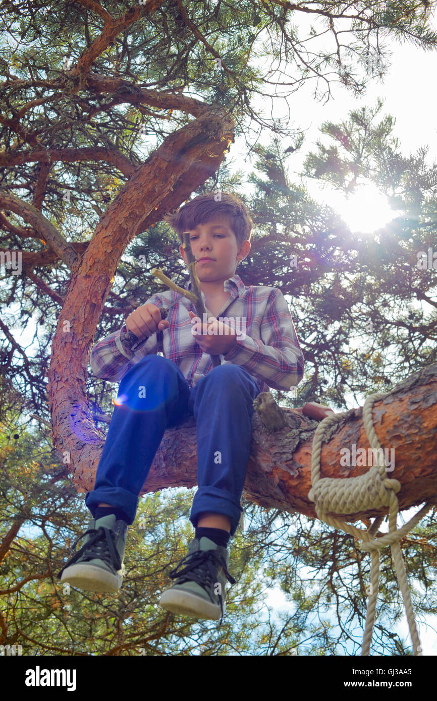 Kleiner Junge sitzt im Baum, Stick mit Messer schärfen Stockfoto