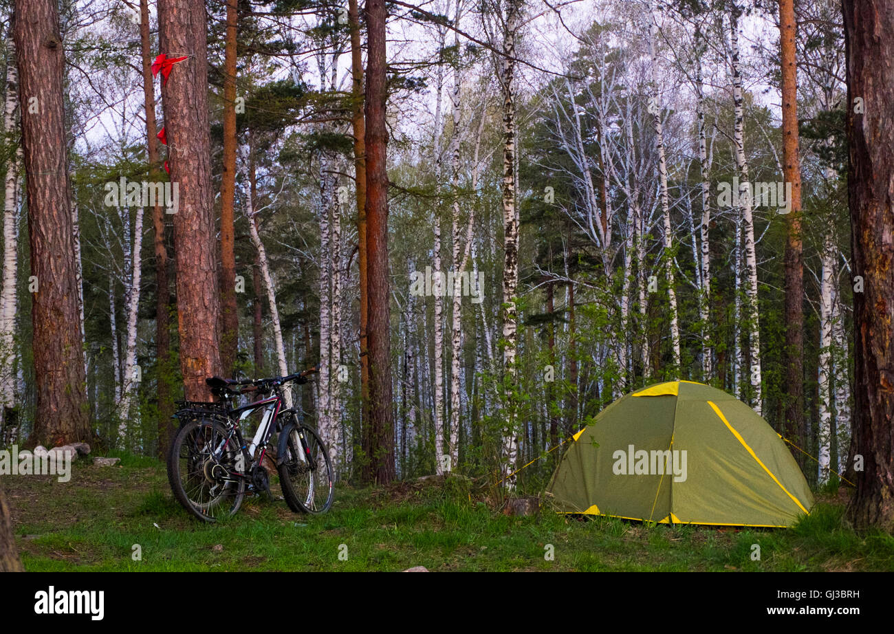 Fahrrad und Zelt im Wald Stockfoto