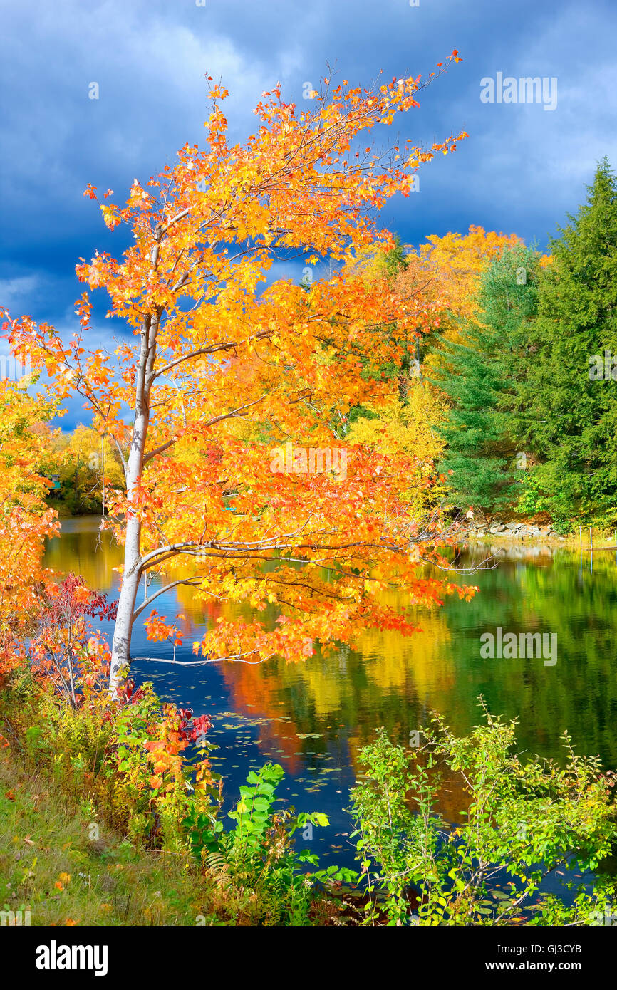 Herbst in Vermont, USA Stockfoto