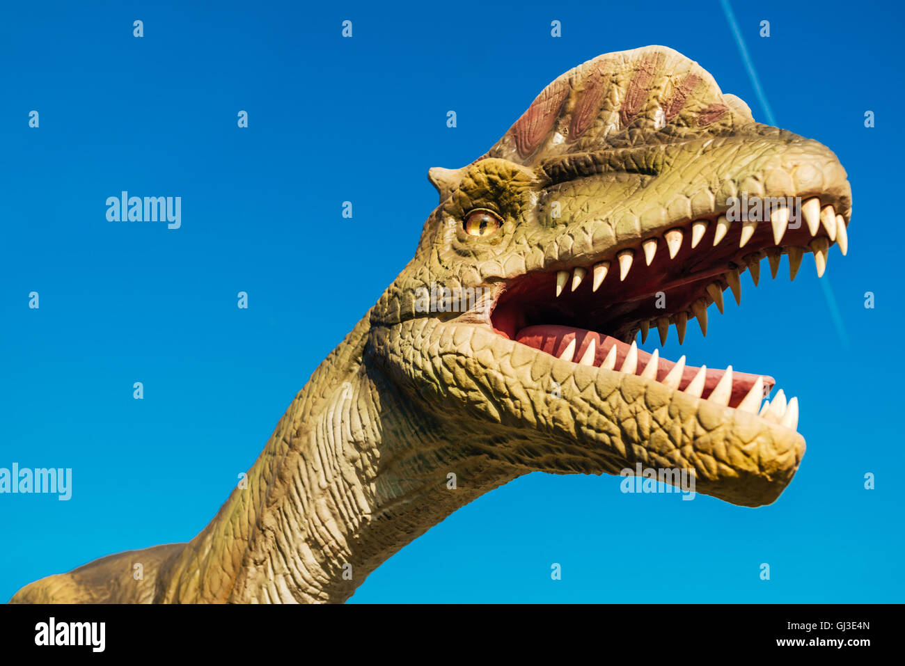 NOVI SAD, Serbien - 7. August 2016: Dilophosaurus Leben Größe Modell des prähistorischen Tieres im Thema Entertainment Dino-Park. Stockfoto