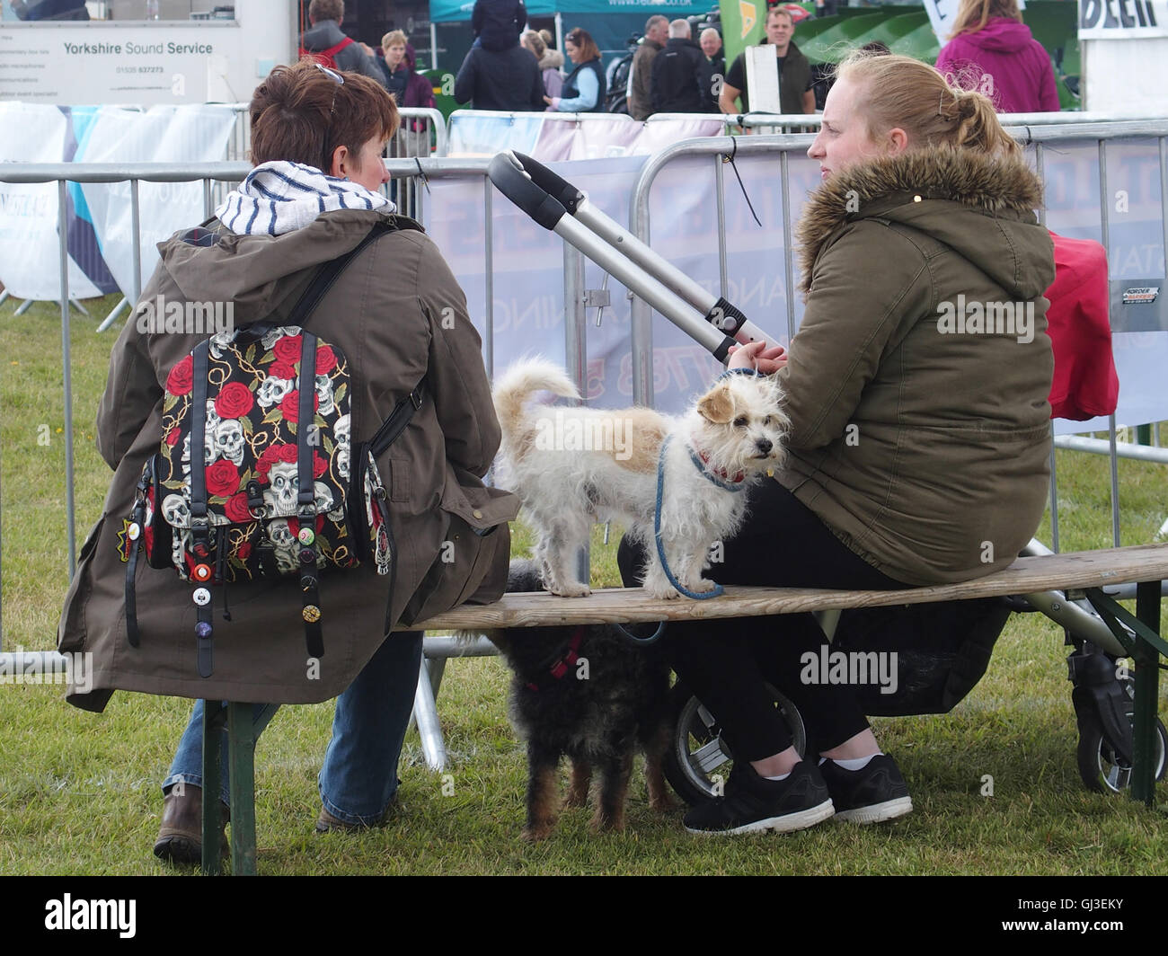 Zuschauer und Hund, Haddington Show, East Fortune, East Lothian Stockfoto