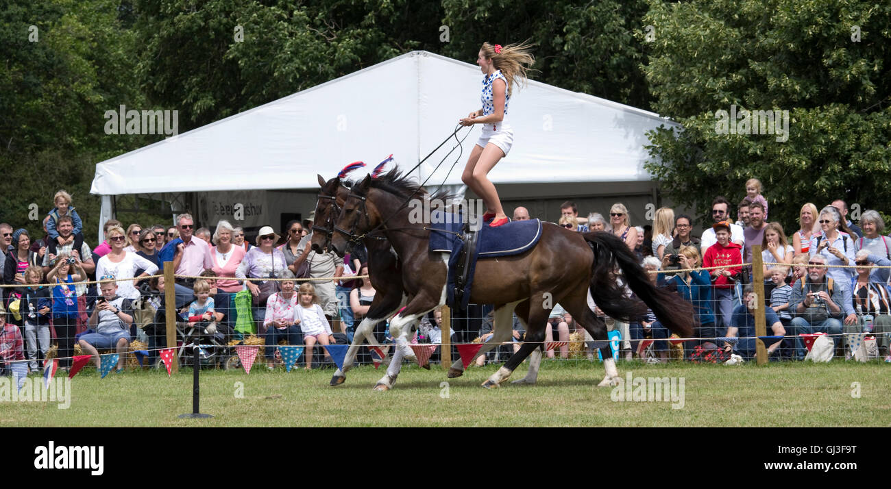 Menschenmassen sehen Mädchen gebietsübergreifenden Rücken von zwei galoppierenden Pferden Galloping Akrobatik Countryfile Live Blenheim UK Stockfoto