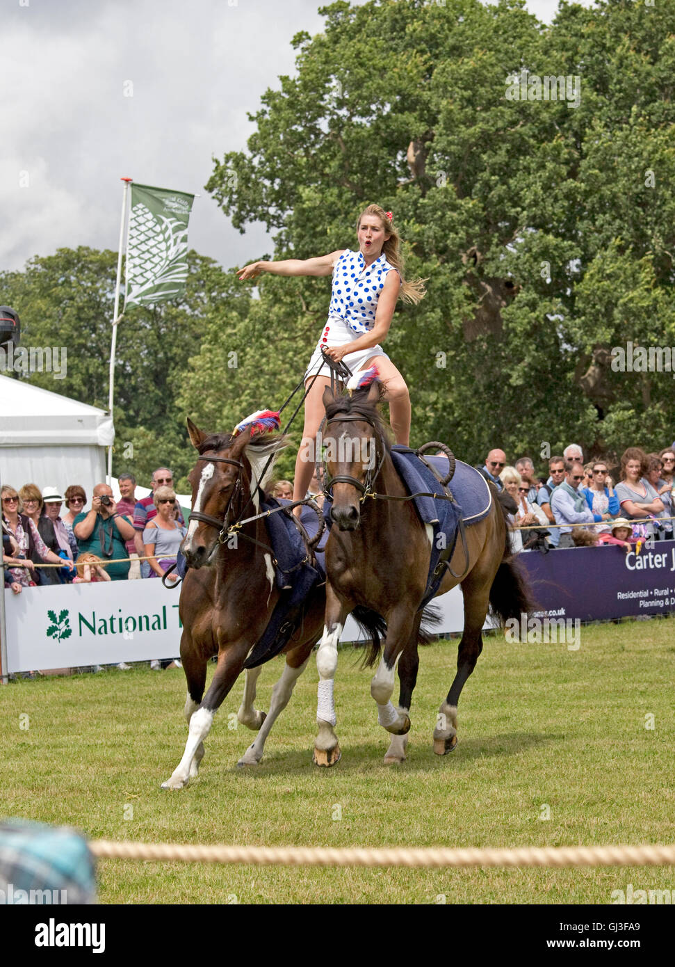 Menschenmassen sehen Mädchen gebietsübergreifenden Rücken zwei galoppierenden Pferd Galloping Akrobatik Countryfile Live Blenheim UK Stockfoto