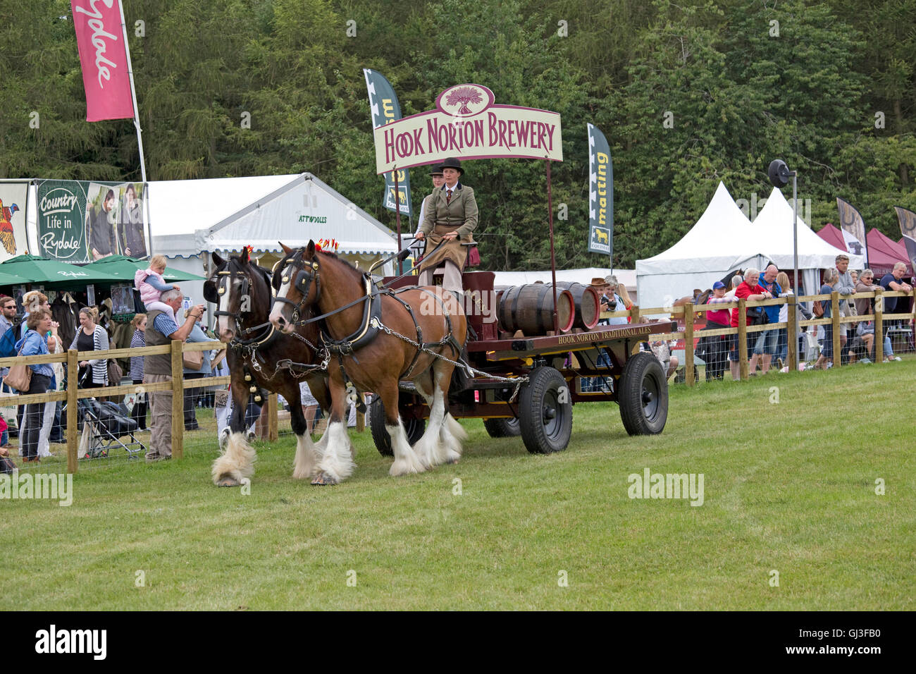 Paar Shire Horses aus Hook Norton Brauerei bei Countryfile Live 2016 Blenheim UK arbeiten Stockfoto