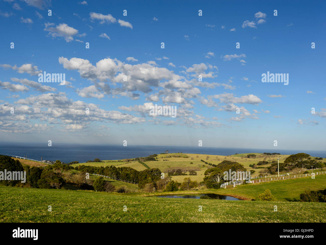 Blick auf grüne Weiden in der hügeligen Landschaft über Kiama, Illawarra Küste, New South Wales, NSW, Australien Stockfoto