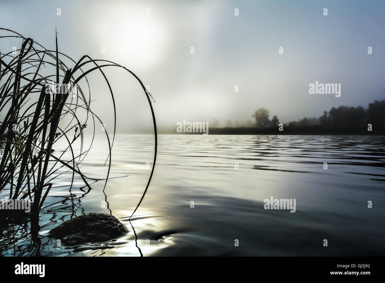 Wunderschöne Flusslandschaft mit Dawn Nebel und morgen Tau. Selektiven Fokus. Sommer idyllische Landschaft. Stockfoto